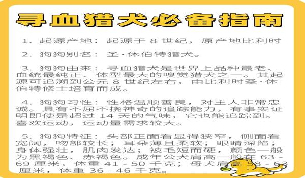 三角洲行动寻血猎犬价格(三角洲行动寻血猎犬皮肤价格) 三角洲行动寻血猎犬价格(三角洲行动寻血猎犬皮肤价格)